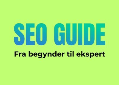 SEO Guide: Fra begynder til ekspert