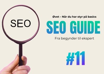11. Google Search Console for begyndere (der vil blive øvede)